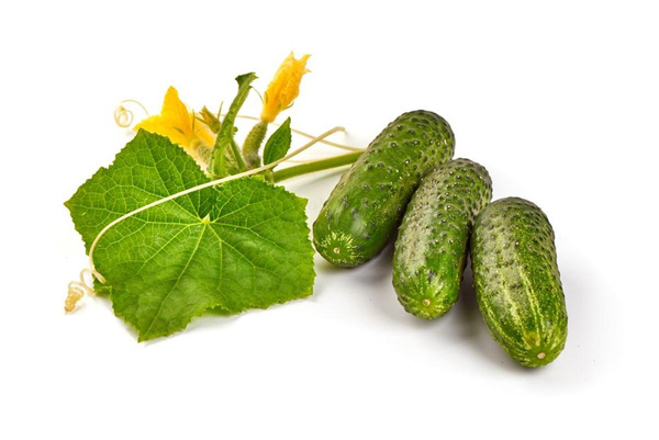 Produktfoto zu Gurken, Landgurken