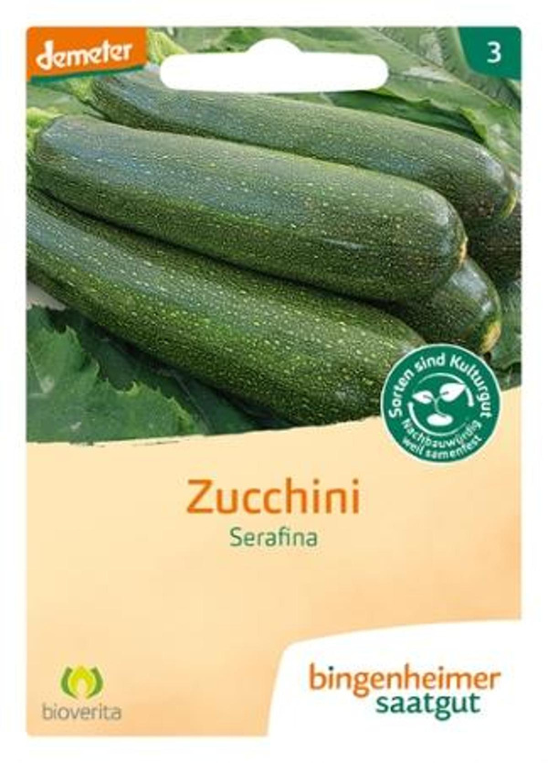 Produktfoto zu Zucchini Serafina Saaten