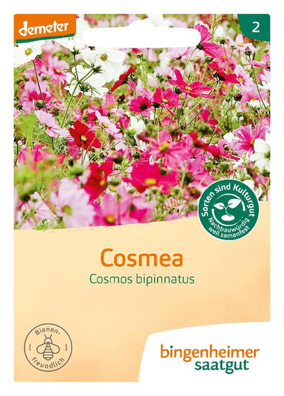 Produktfoto zu Cosmea Saaten