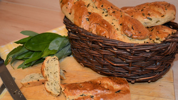 Rezeptbild für Ungarisches Bärlauchbrot - Pogacsa