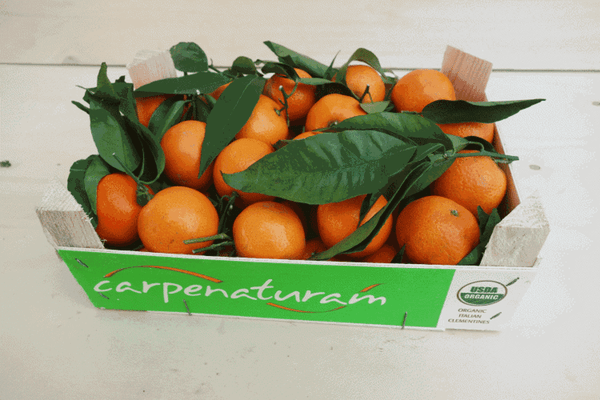 Produktfoto zu Mandarinen