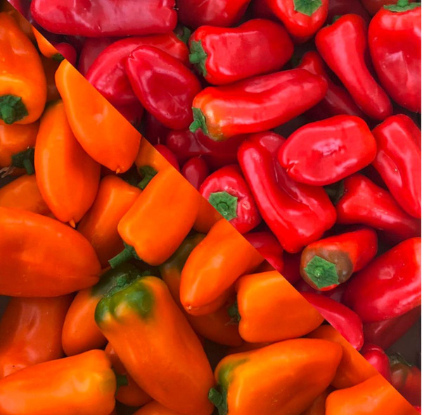 Produktfoto zu Snack Paprika