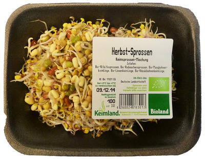 Produktfoto zu Frische Sprossen wechselnde Sorten