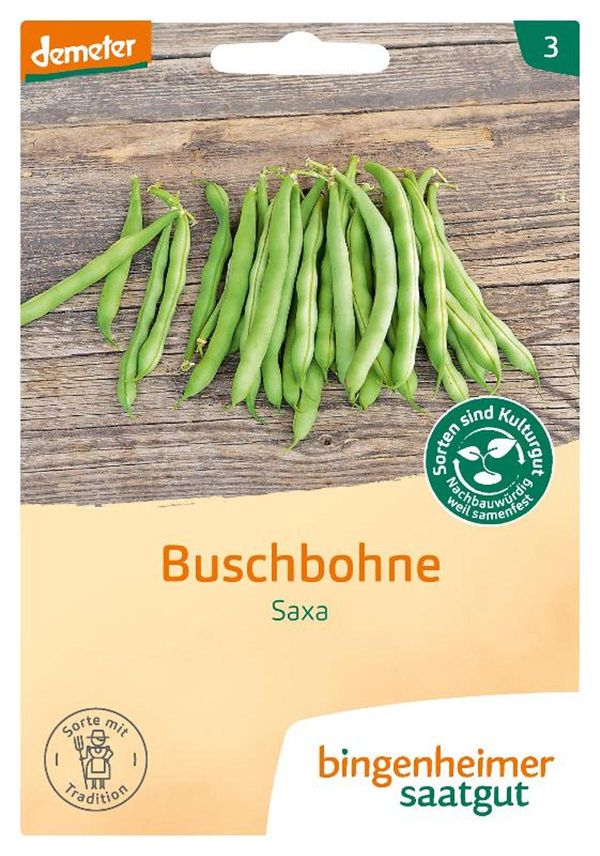 Produktfoto zu Buschbohne grün Saaten