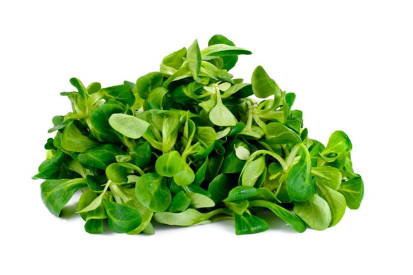 Produktfoto zu Feldsalat in 150g Tüte