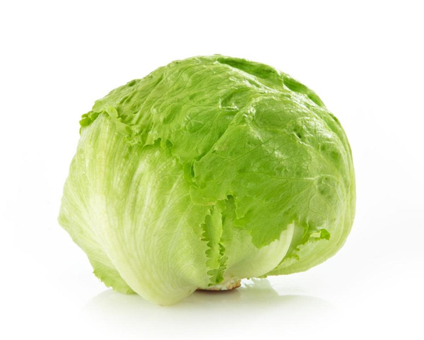 Produktfoto zu Salat, Eissalat
