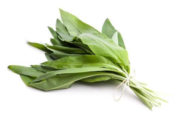 Produktfoto zu Bärlauch