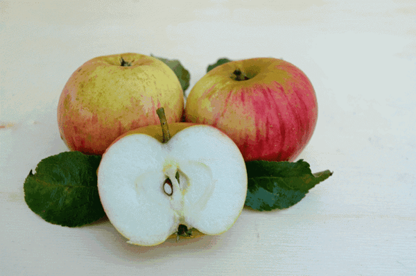 Produktfoto zu Apfel Gewürzluiken