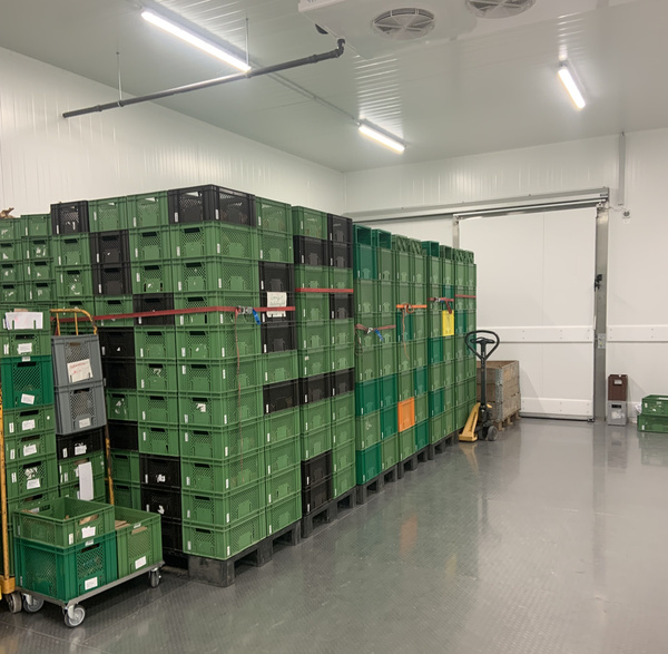 KI generiert: Grüne Kisten sind gestapelt in einem Lagerraum mit Palettenwagen.