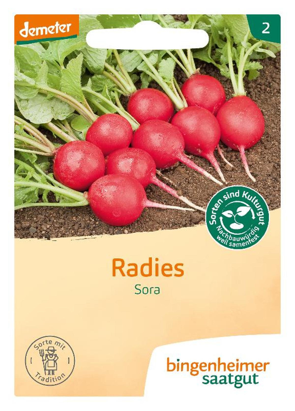 Produktfoto zu Radies Sora GS