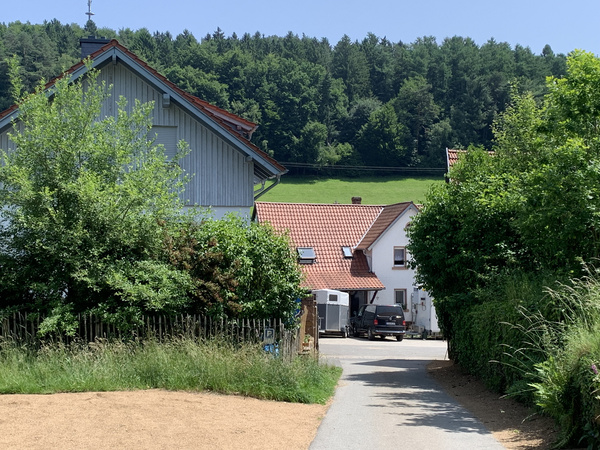 KI generiert: Ein ländliches Haus mit rotem Dach, umgeben von grüner Landschaft und Bäumen, entlang eines schmalen Weges.