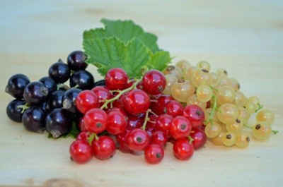 Produktfoto zu Johannis-Fußball-Beeren 500g