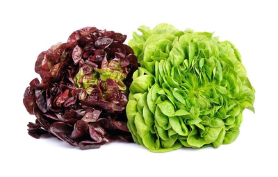 Produktfoto zu Salat, Eichblatt