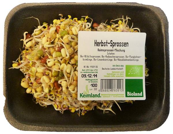 Produktfoto zu Frische Sprossen wechselnde Sorten