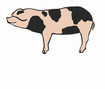 Produktfoto zu Kammsteak vom Schwein in Paprikamarinade, 2 Stück, ca. 550g