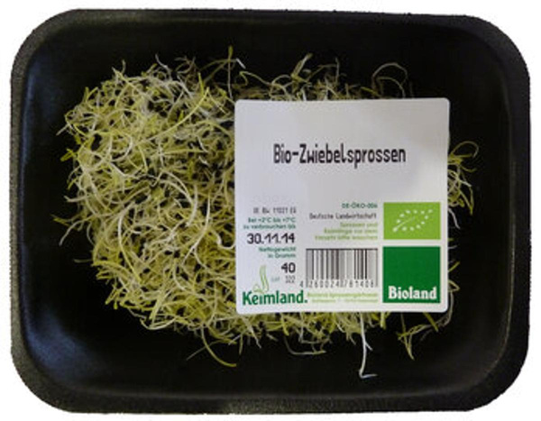 Produktfoto zu Zwiebel-Sprossen
