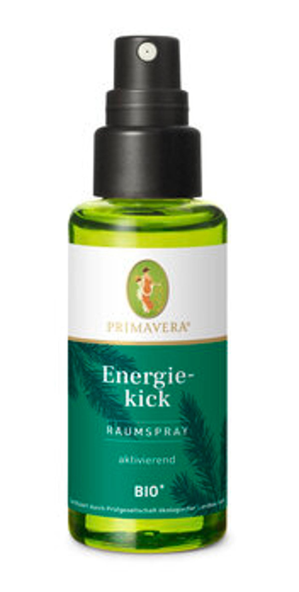 Produktfoto zu Energiekick Raumspray
