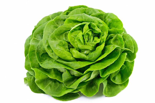 Produktfoto zu Salat, Kopfsalat