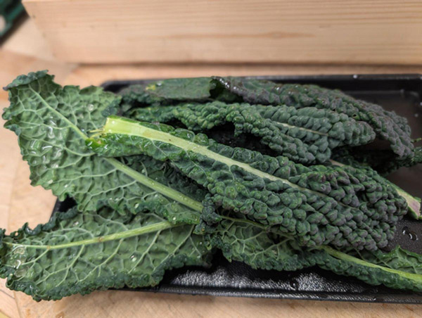 Produktfoto zu Schwarzkohl