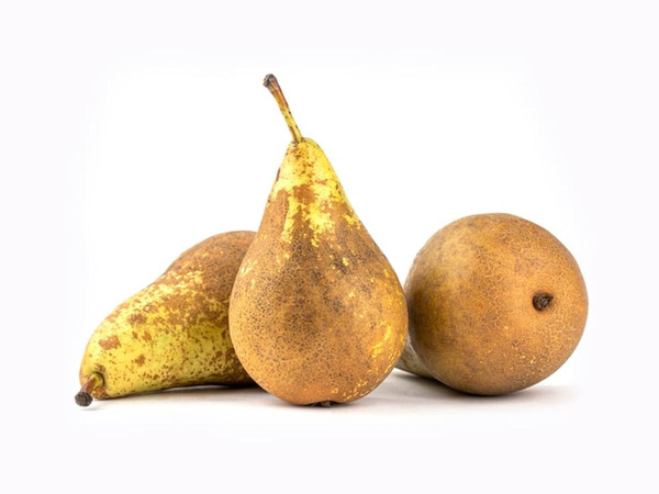 Produktfoto zu Birnen der Woche - Neue Ernte