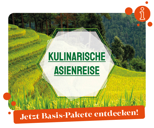 KI generiert: Reisterrassen mit Text "KULINARISCHE ASIENREISE". Unten: "Jetzt Basis-Pakete entdecken!".
