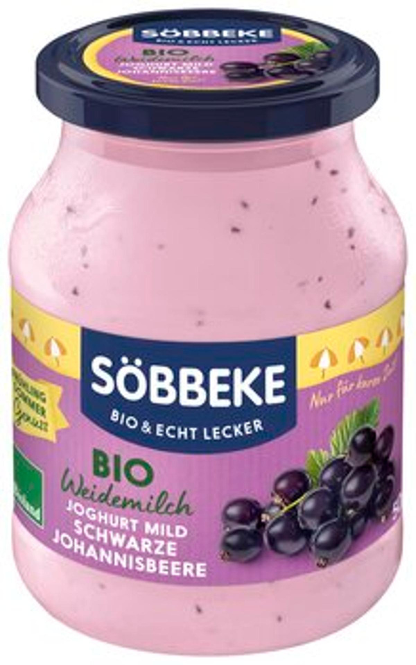Produktfoto zu Joghurt schwarze Johannisbeere