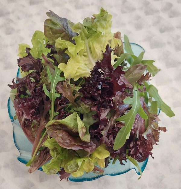 Produktfoto zu Baby Leaf Salat, 150g