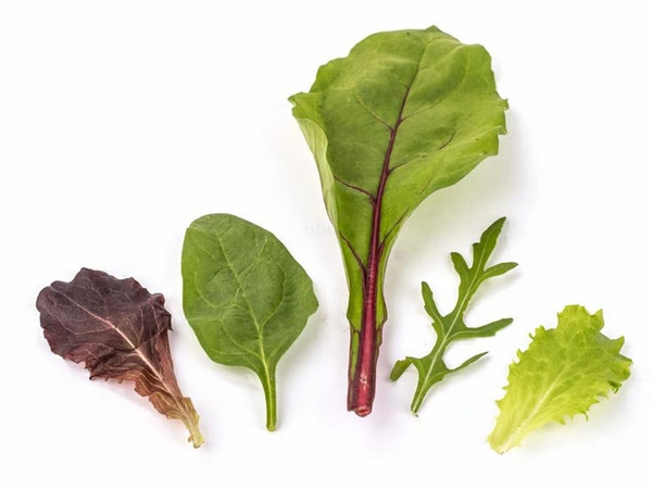 Produktfoto zu Salat-Grand Mix, 125g Schale