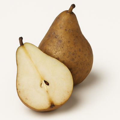 Produktfoto zu Retter-Birnen Conference