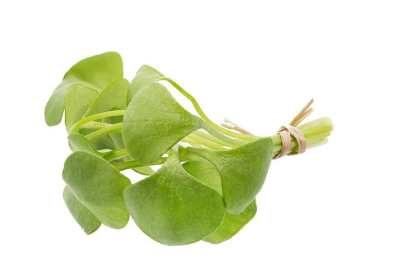 Produktfoto zu Posteleinsalat in 150g Tüte