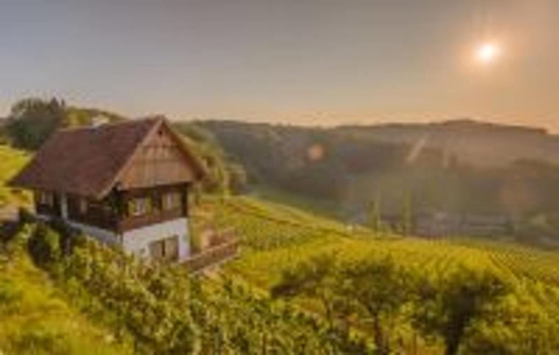 Bioweine aus Österreich