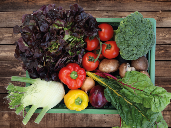 KI generiert: Ein Korb voller frischem Gemüse, darunter Salat, Tomaten, Paprika und Brokkoli, auf Holzhintergrund.