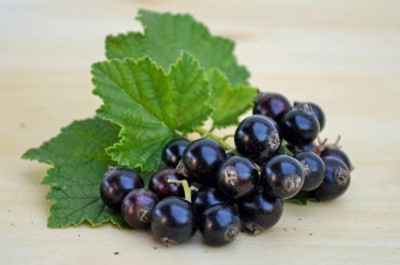 Produktfoto zu Johannisbeeren schw. 250g