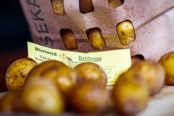 Produktfoto zu Drillinge Kartoffeln 2 kg Tüte