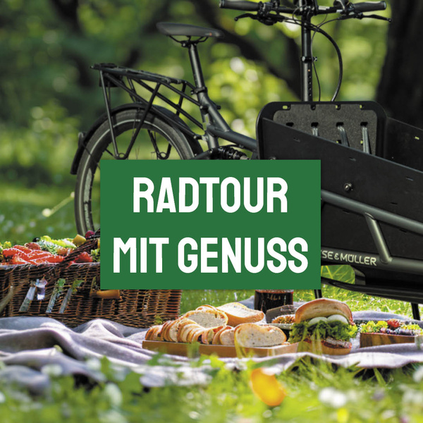 KI generiert: Picknick auf einer Decke mit Fahrrad im Hintergrund. Text: "RADTOUR MIT GENUSS".