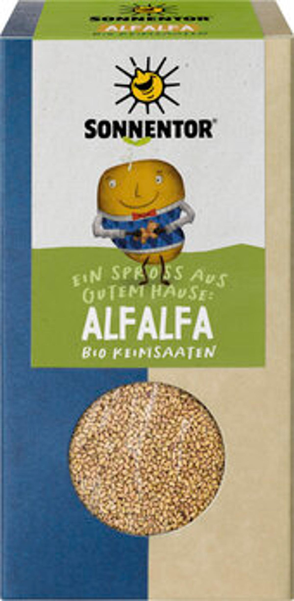Produktfoto zu Keimsaat Alfalfa