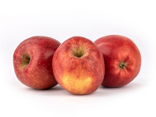 Produktfoto zu Apfel Mammut