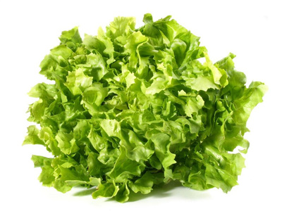 Produktfoto zu Salat, Endivien