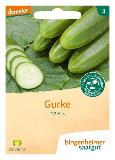 Produktfoto zu Freiland Gurken Persika Saaten