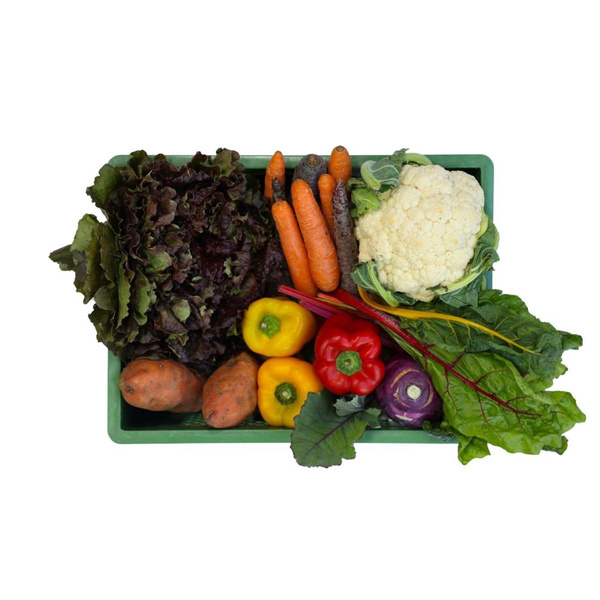 Gemüse_Schonkost klein