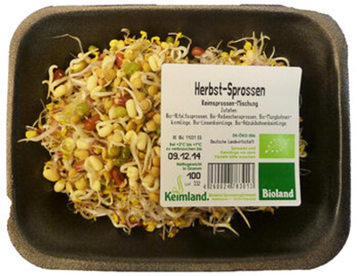 Produktfoto zu Herbst-Sprossen