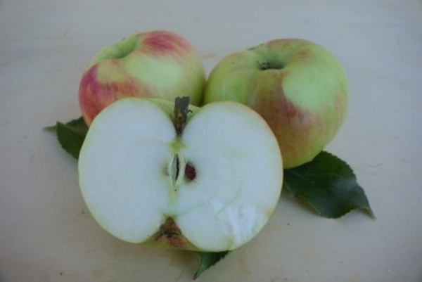 Produktfoto zu Apfel Brettacher