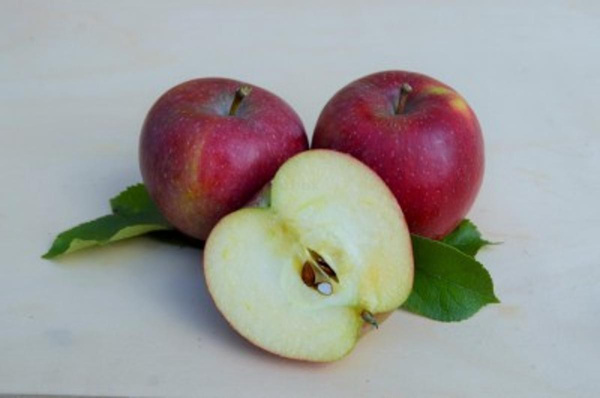 Produktfoto zu Nikolausäpfel