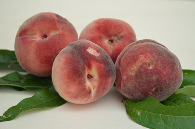 Produktfoto zu Pfirsich f. Marmelade  II.Wahl