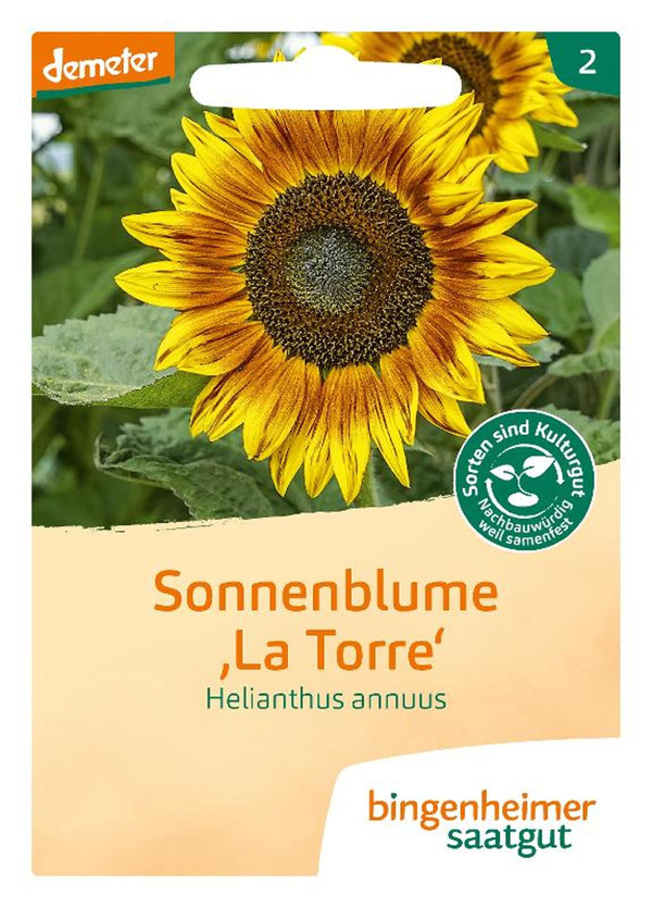 Produktfoto zu Sonnenblume "La Torre" Saaten