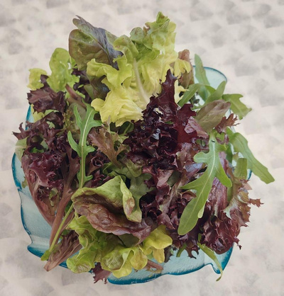 Produktfoto zu Babyleaf Salat