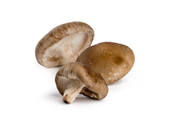 Produktfoto zu Shiitake Pilze