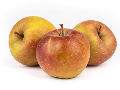 Produktfoto zu Apfel Boskop