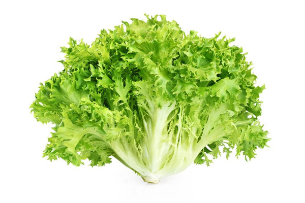 Produktfoto zu Salat, Lollo bionda