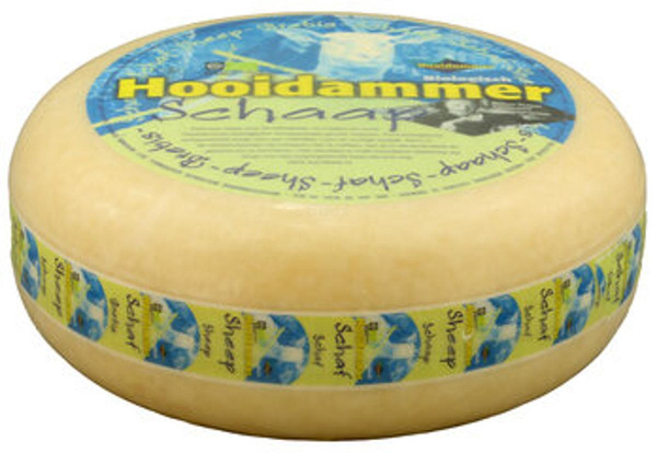 Produktfoto zu Schafgouda jung Hooidammer